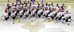 (Photo credit: nzihl.com) 