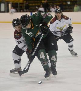 (Photo: Gerard O'Brien)